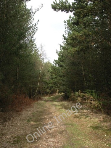Photo 6x4 pistle hill - 6x4,