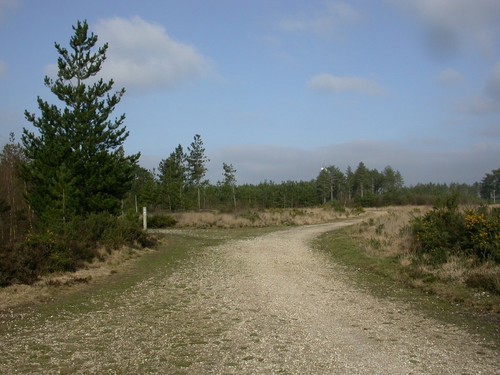 Photo 6x4 pistle - 6x4, down