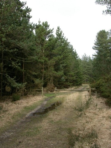 Photo 6x4 pistle hill - photo,