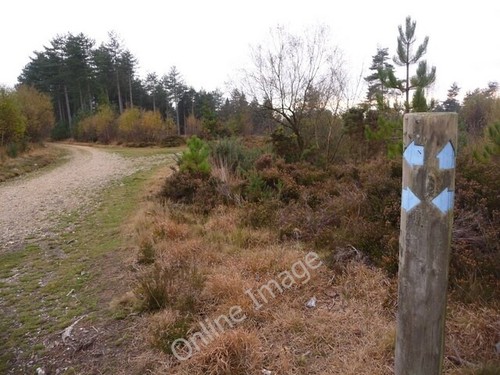 Photo 6x4 verwood - 6x4, directional